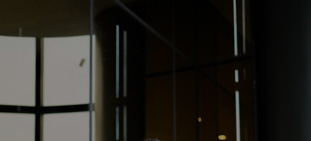 digital marketing strategist